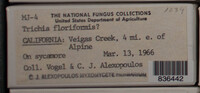 Image Associated With the Occurence